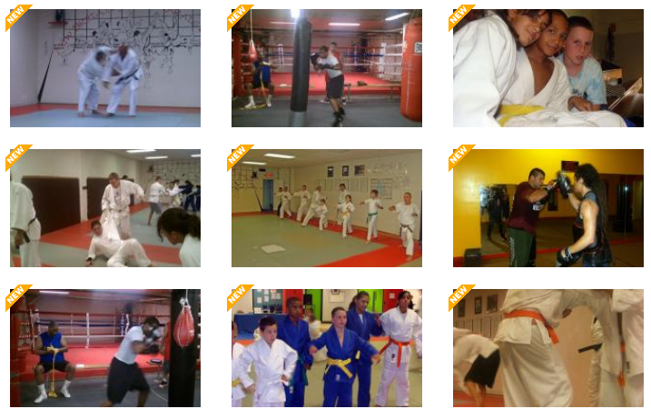 nbjk_marked_new.png