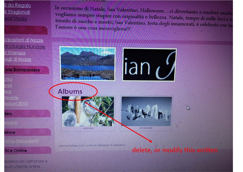I have to edit or delete the word "albums" how do I?