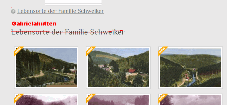 bild 2.gif