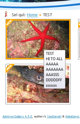 with mouse over image